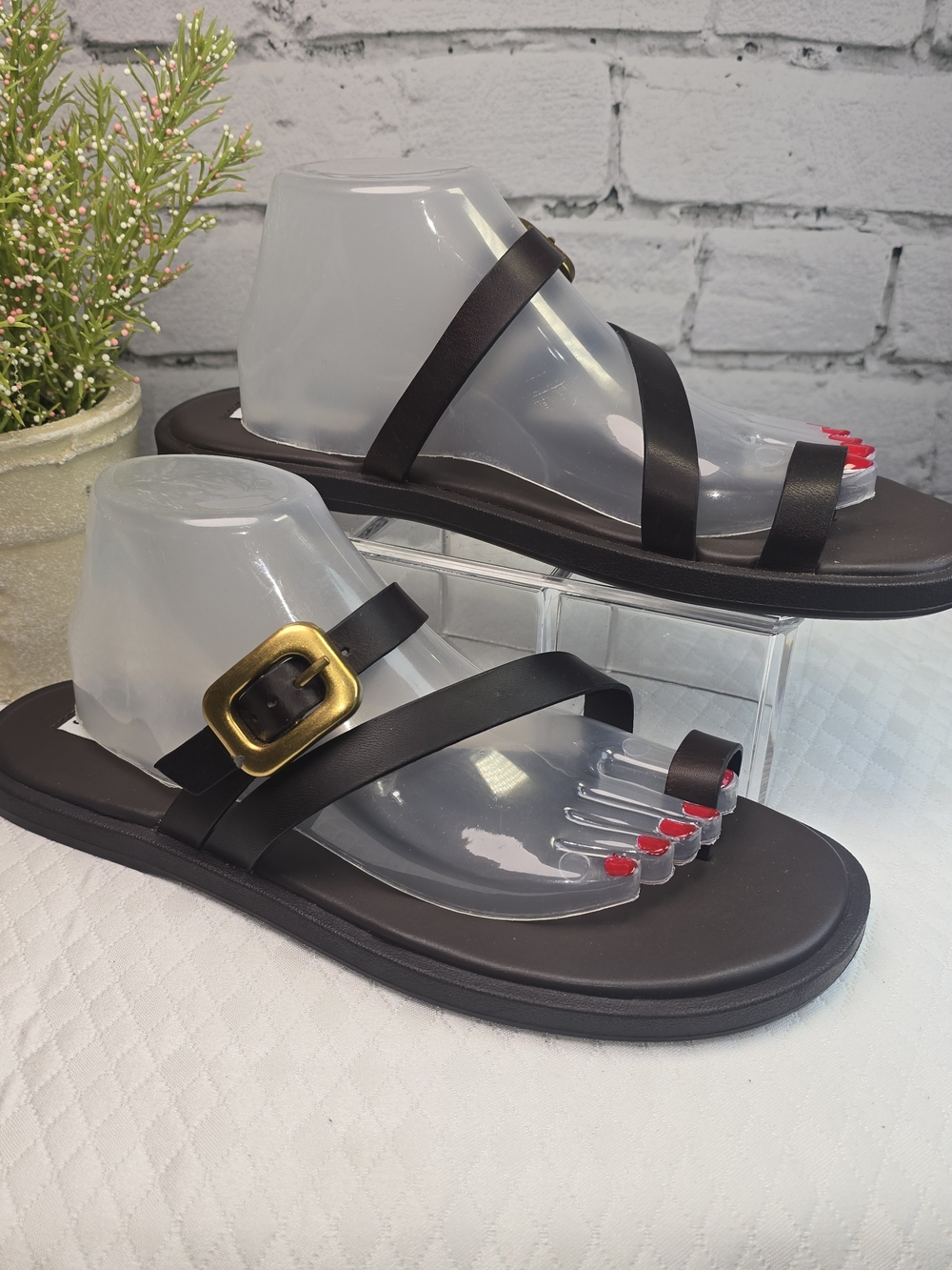 Steve Madden Brown Strappy Sandals with Gold Buckle